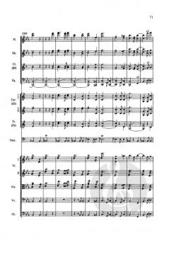 Sinfonie Nr. 3 Es-Dur op. 97 von Robert Schumann 