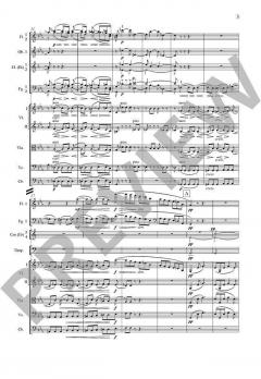 Sinfonie Nr. 1 c-Moll op. 68 von Johannes Brahms 
