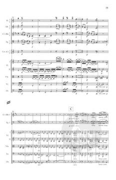 Sinfonie Nr. 3 F-Dur op. 90 von Johannes Brahms 