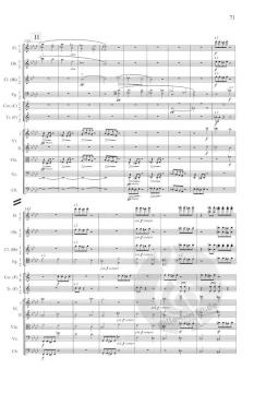 Sinfonie Nr. 3 F-Dur op. 90 von Johannes Brahms 