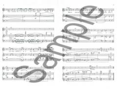 Silence von Cecil Effinger 