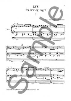 Lys (Pelle Gudmundsen-Holmgreen) 