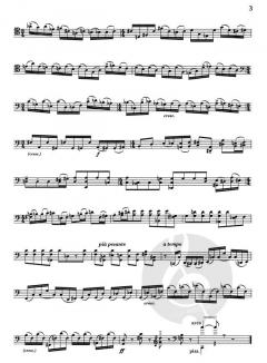 Suite For Solo Cello von John Harbison im Alle Noten Shop kaufen - GS82385