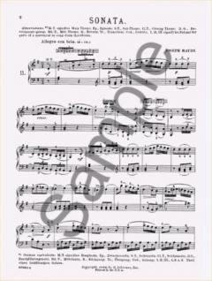 Twenty Piano Sonatas Book 2 von Joseph Haydn 