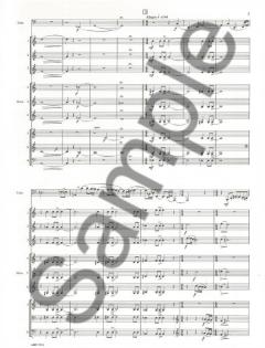 Variations (Bernhard Heiden) 