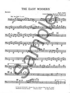 The Easy Winners (Woodwind Quintet) von Scott Joplin für Holzbläser Quintett im Alle Noten Shop kaufen