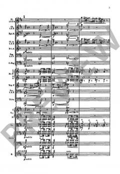 Sinfonie Nr. 7 e-Moll von Gustav Mahler 