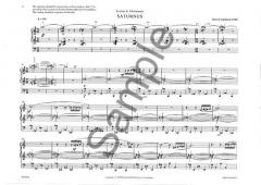 Saturnus (The Planets) von Bent Lorentzen 