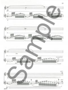 Introduction, Theme and Variations von Louis Moyse 