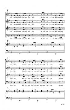 Mad About Mozart (W.A. Mozart) 