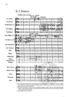 Sinfonie Nr. 5 cis-Moll von Gustav Mahler 