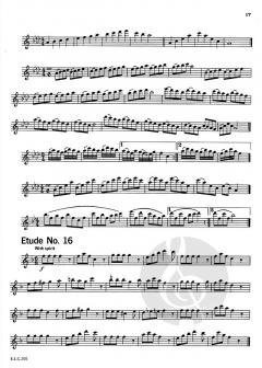 Studies and Melodious Etudes for Flute, Level 2 von Douglas Steensland 