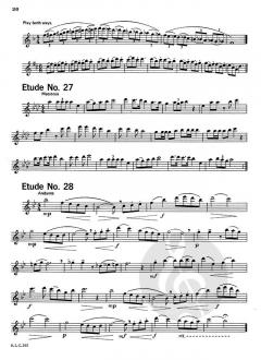 Studies and Melodious Etudes for Flute, Level 2 von Douglas Steensland 