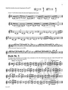 Studies And Melodious Etudes For Bass Clarinet, Level 2 von Robert Lowry 