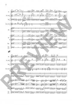 Konzert Nr. 23 A-Dur KV 488 von Wolfgang Amadeus Mozart 