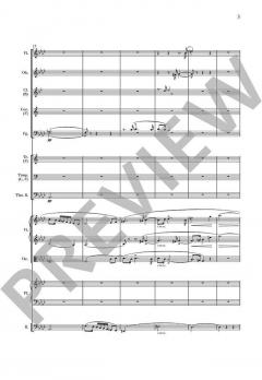 Konzertstück f-Moll op. 79 