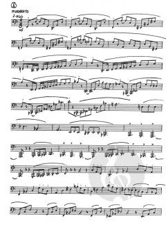 Advanced Etudes von Tommy Pederson 