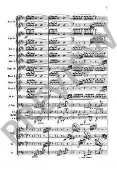 Die Walküre WWV 86 B von Richard Wagner 