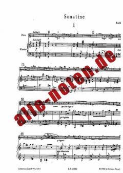 Bianca e Fernando von Vincenco Bellini 