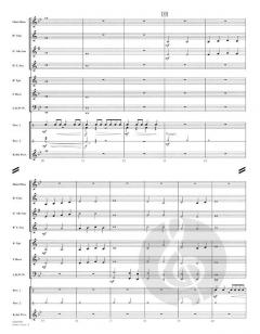 Strike Force (Michael Sweeney) 