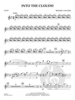 Into The Clouds! (Richard Saucedo) 