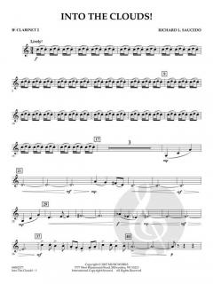 Into The Clouds! (Richard Saucedo) 