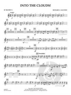 Into The Clouds! (Richard Saucedo) 