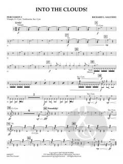 Into The Clouds! (Richard Saucedo) 