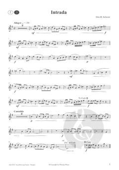 Good Morning Vienna von Otto M. Schwarz 