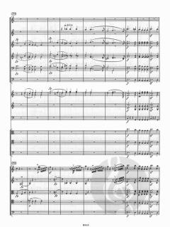 Symphonie Nr. 5 c-Moll op. 67 von Ludwig van Beethoven 