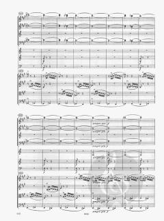 Symphonie Nr. 7 A-Dur op. 92 von Ludwig van Beethoven 