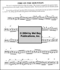 Fiddle Tunes For Two Cellos von Stacy Phillips im Alle Noten Shop kaufen