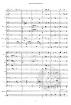 Star Of Christmas, A Paraphrase (Jacob Gerhard Meidell) 