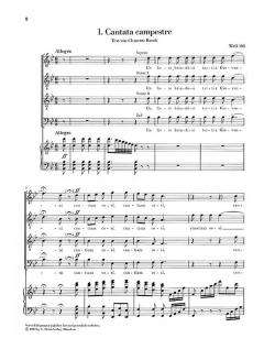 Sämtliche Lieder und Gesänge mit Klavier Band 3 von Ludwig van Beethoven 