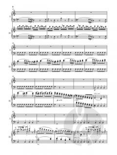 Klavierkonzert C-dur KV 467 von Wolfgang Amadeus Mozart im Alle Noten Shop kaufen - HN766