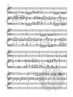 Klavierkonzert A-dur KV 488 von Wolfgang Amadeus Mozart im Alle Noten Shop kaufen - HN767