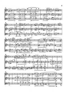 Serenaden op. 77a & 141a (Max Reger) 