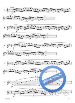 ASA: Atmung Stütze Ansatz - Know How von Rolf Quinque 