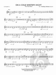 On A Cold Winter's Night (Timothy Johnson) 