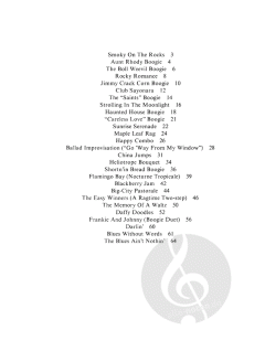 The Joy of Boogie & Blues 2 