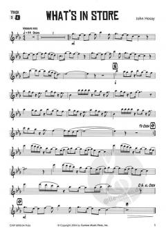 Fun with Folk and Alternative Rock von John Hosay 