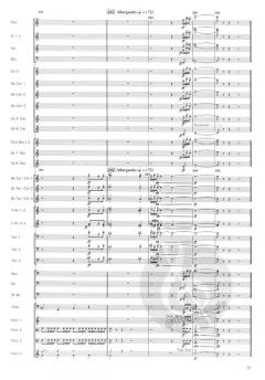 Symphonic Variations von Jacob de Haan 