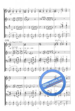 Dancing on the Seashore von Jan Hadermann 