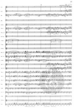 Il Briccone von Thomas Doss 