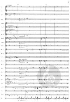 Il Briccone von Thomas Doss 