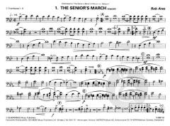 On The Bandstand (Rob Ares) 