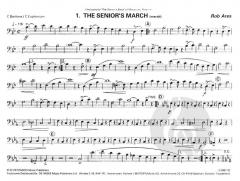 On The Bandstand (Rob Ares) 