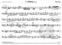 On The Bandstand (Rob Ares) 