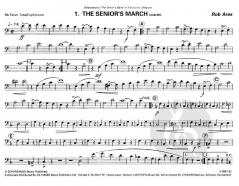 On The Bandstand (Rob Ares) 