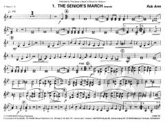 On The Bandstand (Rob Ares) 